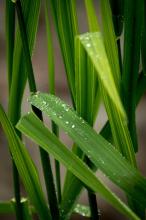 per ragazze e ragazzi dai 6 ai 12 anni, info www.lacampirlota.it