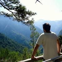 WE7 arte cori neuroscienze estetica